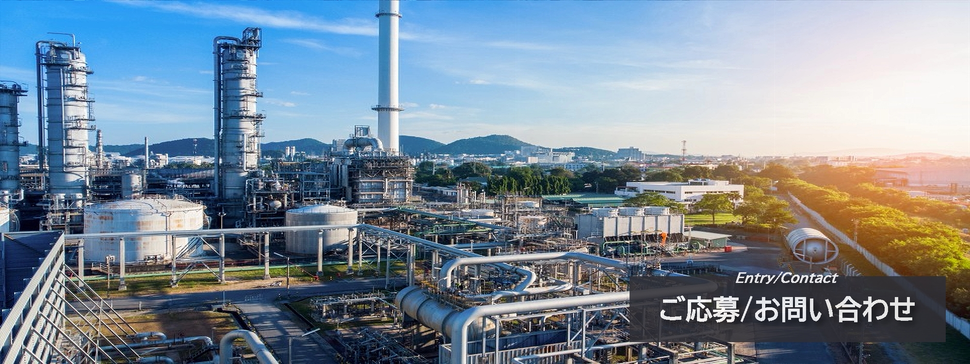 ご応募・お問い合わせ